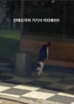 15 행삼이와 춘식이