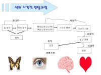 색채가 심리학을 만나다-29회