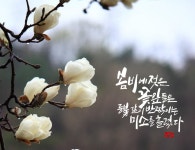 봄비
