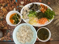 141일 동안 마신 김칫국