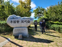 부산 우암동 도시숲 아래