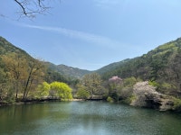 바람 쐬는 길