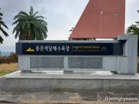 7. 중문색달해수욕장, 중문관광단지, 중문 오후새우시