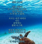 매일 읽고 쓰고 달립니다.