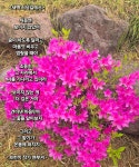 매일 읽고 쓰고 달립니다.