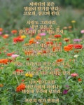 매일 읽고 쓰고 달립니다.