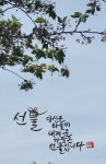 11화 드디어 디지털 캘리그라피를 배웠다