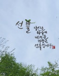 11화 드디어 디지털 캘리그라피를 배웠다