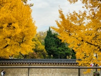 04화 지금이 가장 빛나는 시기, 서촌