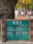 03화 500년 넘게 광화문을 물들인 단풍 명소