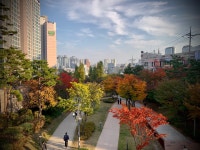 시간이 멈춰버린 국적 불명의 땅 : 용산구