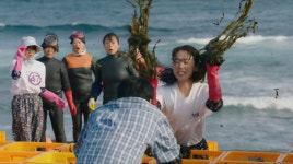 로컬 드라마의 빈틈을 메꾸는 가장 제주스러운 이야기