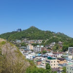 18화 주요 관광지는 화장실입니다
