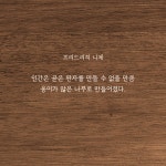 옹이
