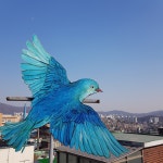 #1. 다행스러운 동네, 성남시 태평동