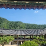 04화 우울증, 북스테이, 안동 하회마을 인생의 끈은 몇 개?