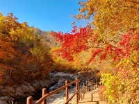 선재길