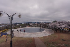 대구, 동구. 해맞이동산(공원)