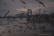 경기, 김포. 김포함상공원