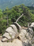 경북 문경 대야산 산행기 경북 문경 대야산 산행기 