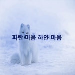 [브런치북] 파란 마음 하얀 마음 6