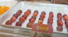 12화 탕후루를 이제야 처음 맛본 초등 남매