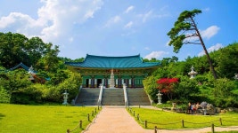 절벽 위에서 해 뜨는 절… 바다 품은 고요한 힐링지