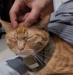 이문동커피집 크럼블로스터스