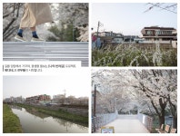 06화 기찻길 옆 골목, 대구 동촌로 산책길