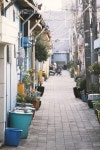 06화 기찻길 옆 골목, 대구 동촌로 산책길