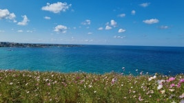 [연재 브런치북] 그림책테라피 마음서당3