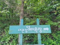 13화 대관령 양떼 목장 나들이.