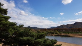 [브런치북] 고시십구수 멀리 가신 임을 그리다