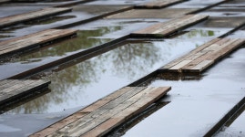 [브런치북] 시의 척추 디카시 2부