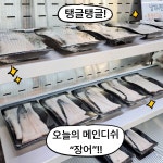 4화 처음본명품민물장어에서 장어구이를 배터지게 먹다!