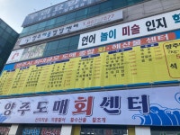 신선한 회가 당길 때! 덕계동 양주도매회센타 로!