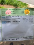 동막천, 정신과, 엄마와 빙수