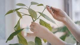 단정한 살림 속 엄마의 손맛과 사랑이 가득한 집밥요리