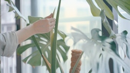 단정한 살림 속 엄마의 손맛과 사랑이 가득한 집밥요리