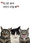 [브런치북] 동그란 눈에 사랑이 비칠 때