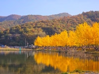 [브런치북] 나의 귀촌 이야기 고흥에 머물다