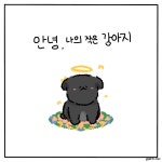 15화 안녕, 나의 작은 강아지