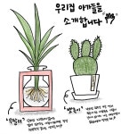 우리집 아가들을 소개합니다