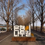 화성시 궁평항, 평택 메인스트리트, 아산시 은행나무길