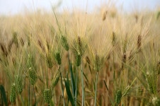 [브런치북] 디카시_운담의 개똥철학 3