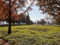 [연재 브런치북] 다섯 번째 어미이징 디카시 [연재 브런치북] 다섯 번째 어미이징 디카시 