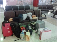 4. 농장 생활 - 농장에 가다