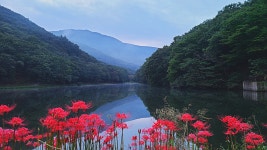 [브런치북] 독서지락 자기계발