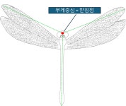 무게중심과 받침점