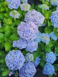 12화 일상 스케치
